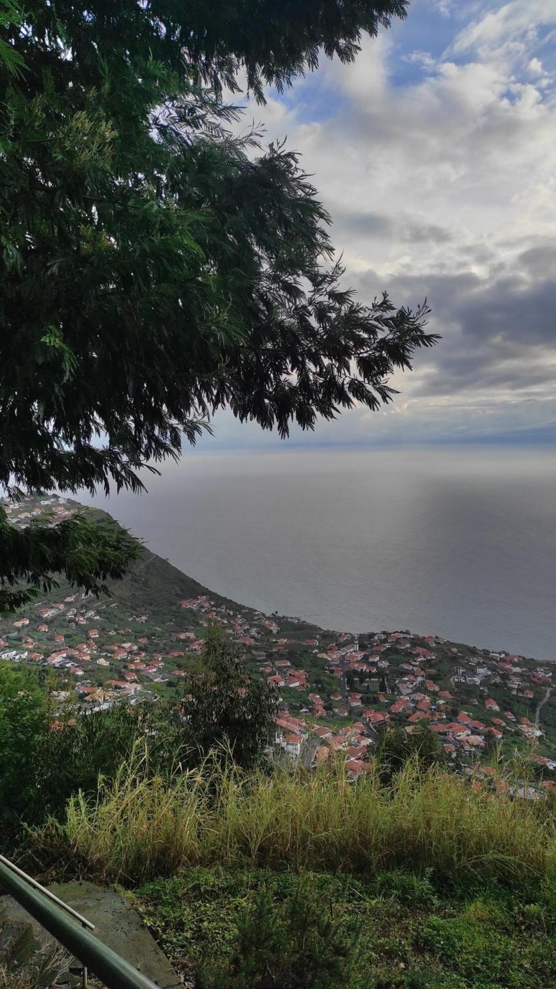Casa Camara Lejlighed Arco da Calheta  Eksteriør billede